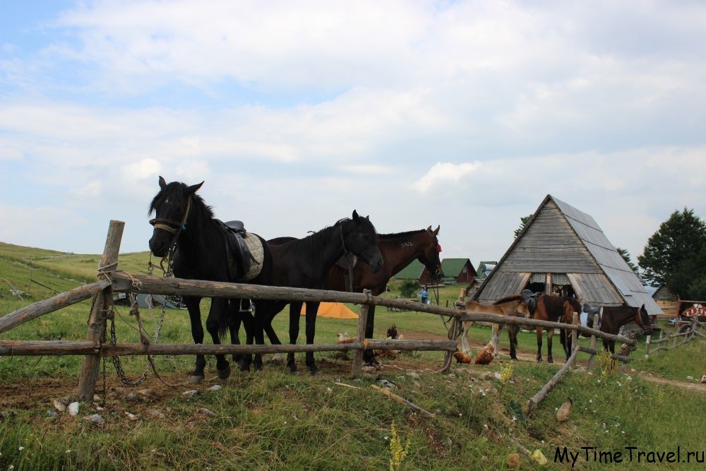 Катание на лошадях в Дурмиторе