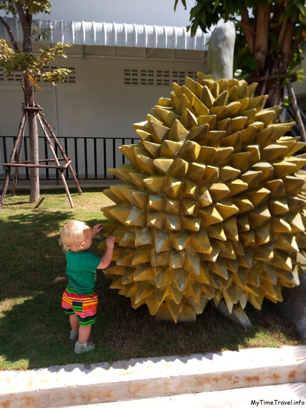 Скульптура дуриана