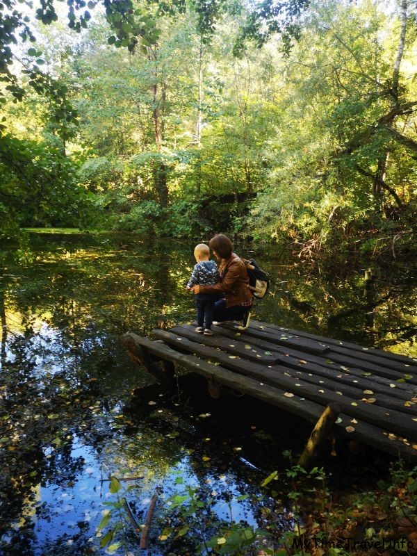 Мама и ребенок на мостике у озера
