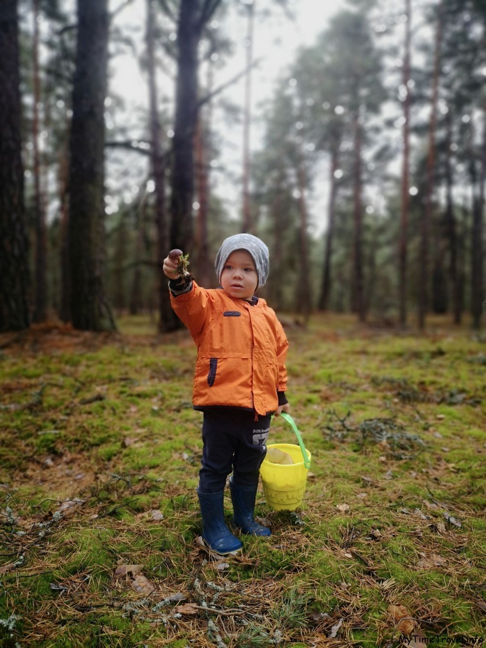 Ребенок собирает грибы в лесу