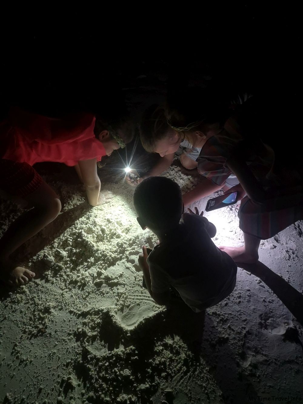 Дети ищут крабов на пляже