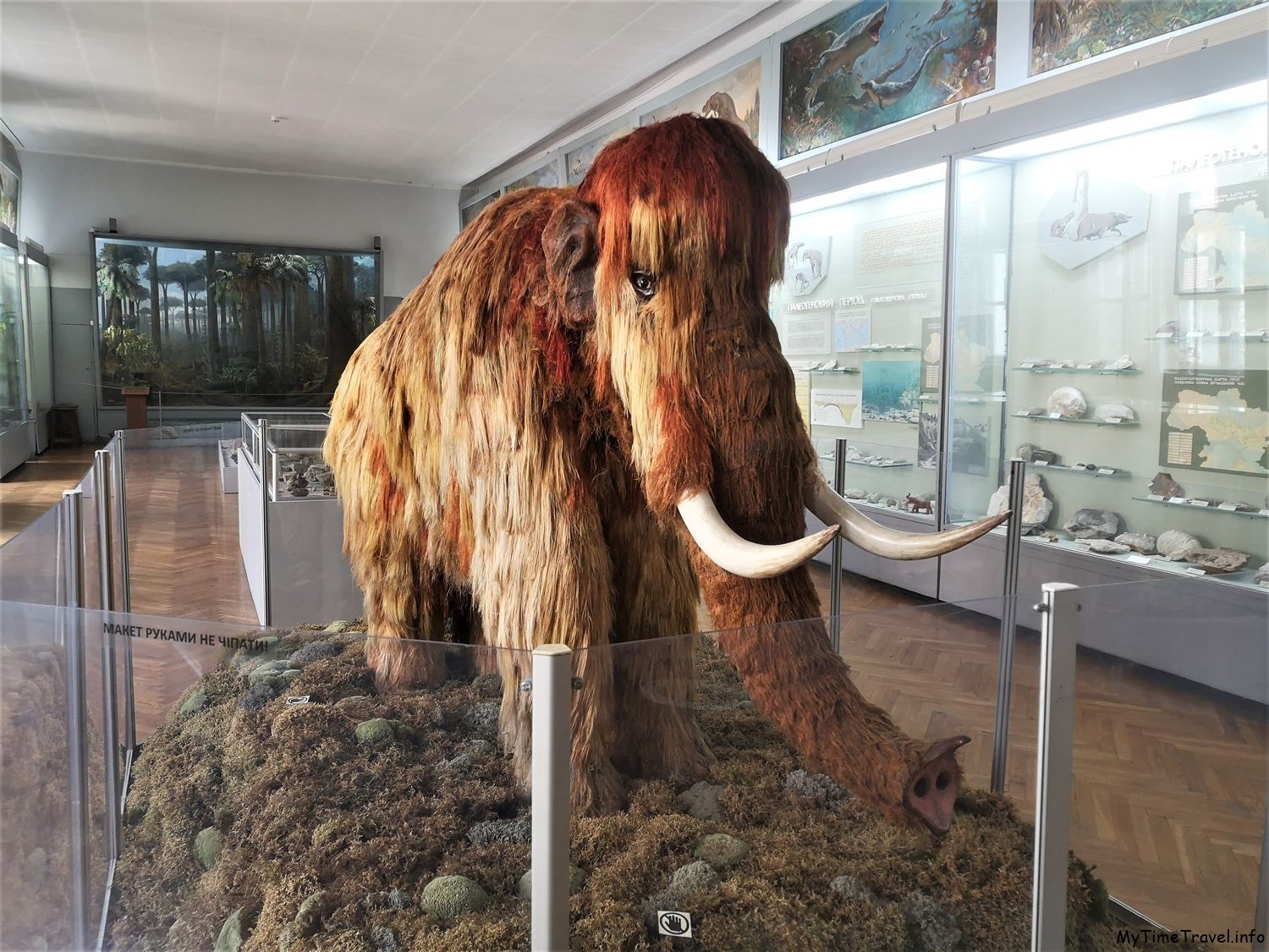 Киевский зоологический музей