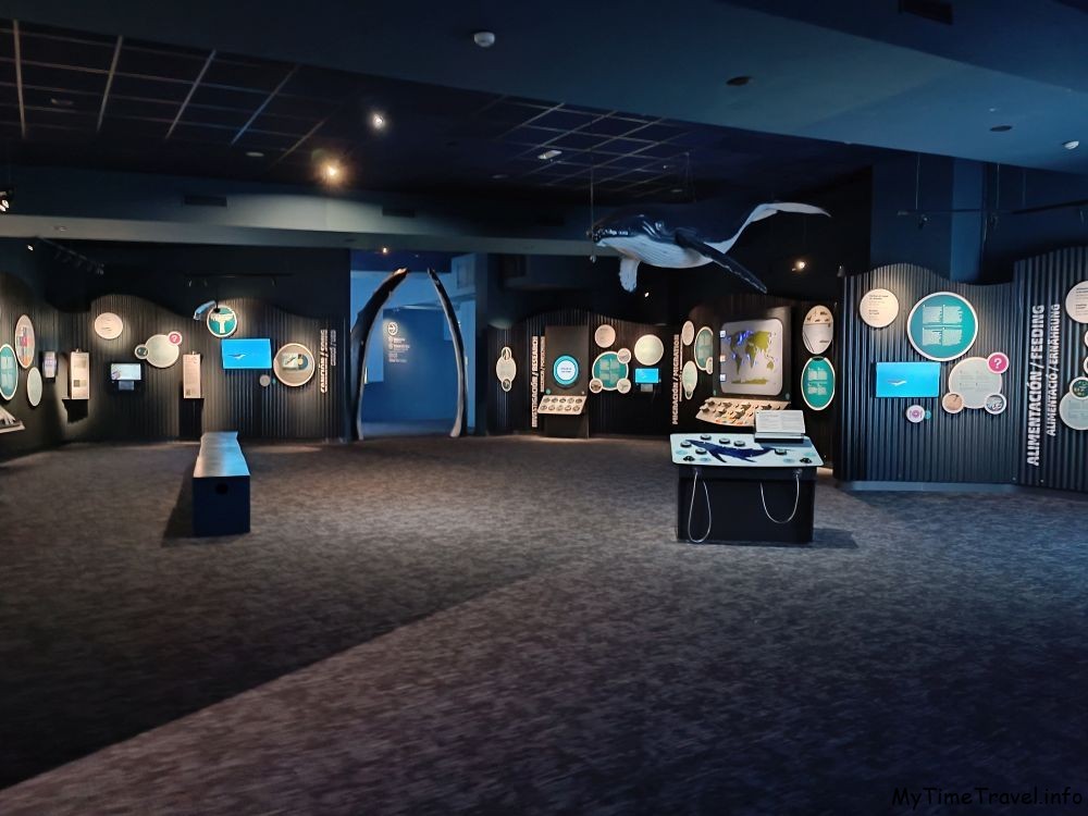 Интерактивная комната, посвященная китам в океанариуме Майорки