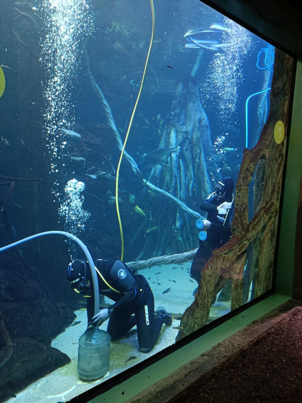 Как чистят огромные аквариумы