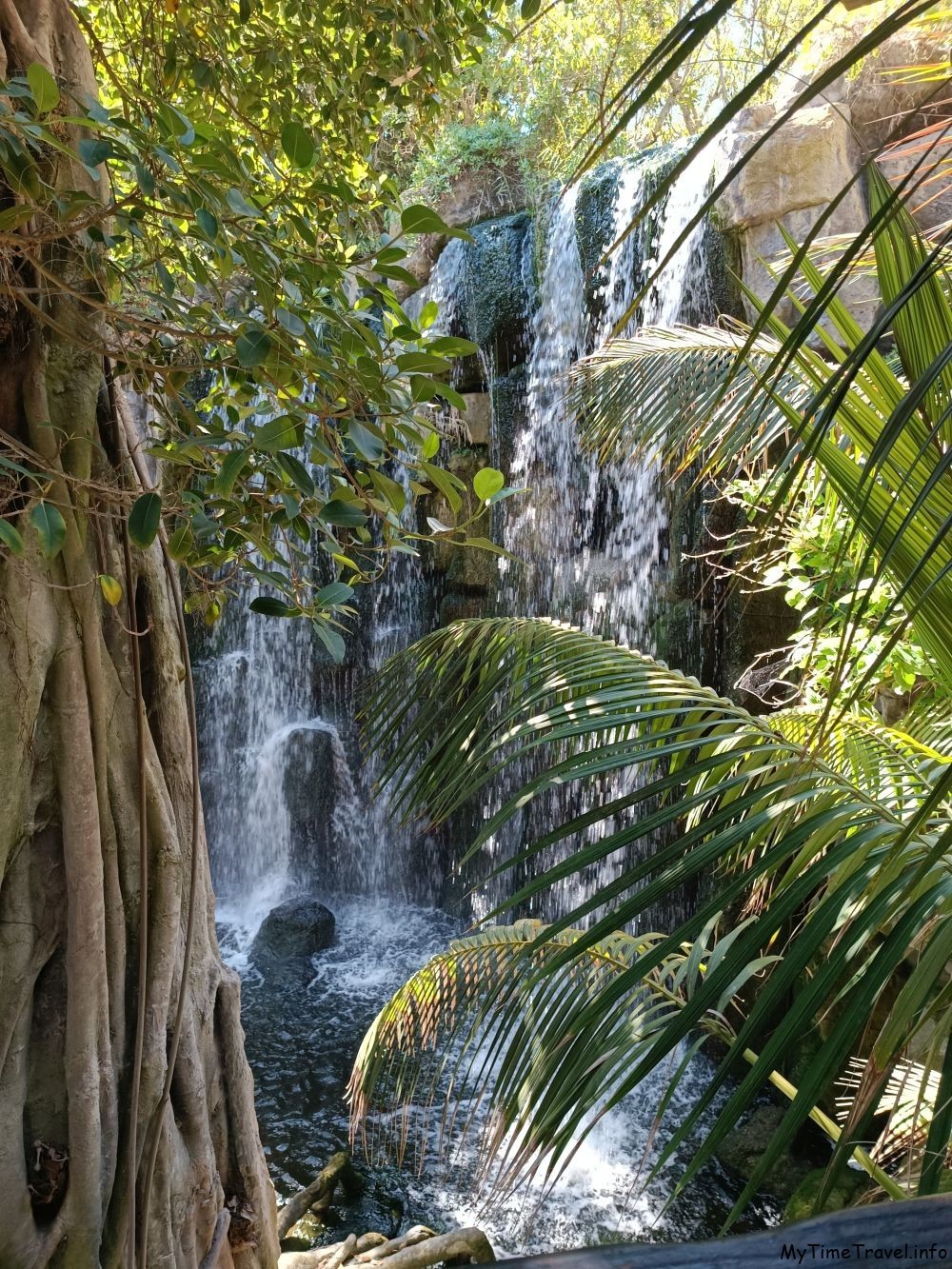 Тропический водопад в аквариуме Пальмы де Майорки