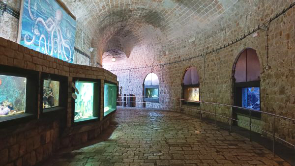 Здание аквариума в Дубровнике