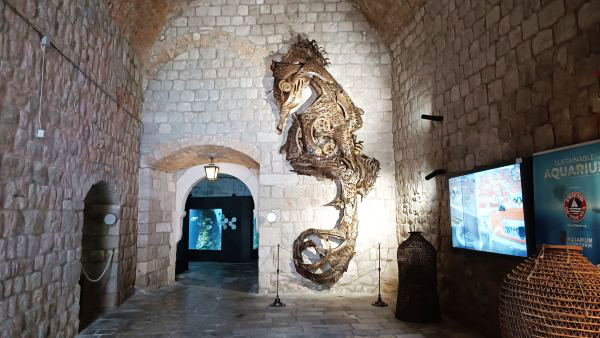 Железный морской конек в аквариуме Дубровника