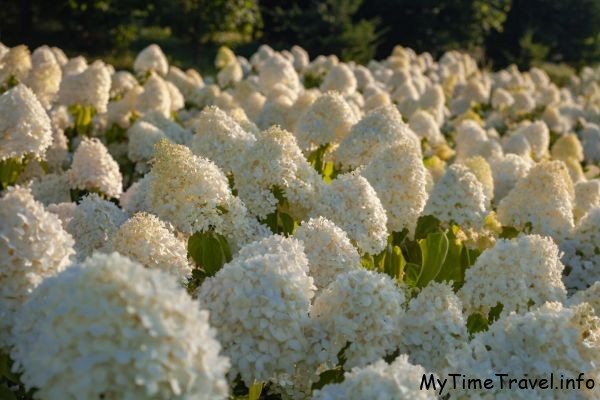 Лучшие фотолокации недалеко от Киева