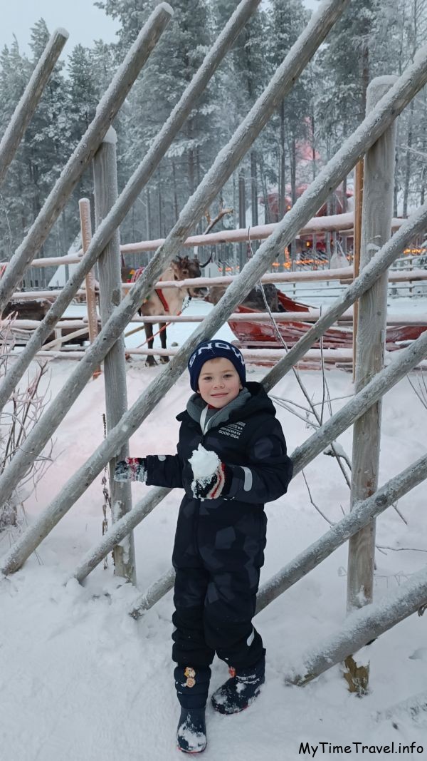 Северные олени в деревне Санты