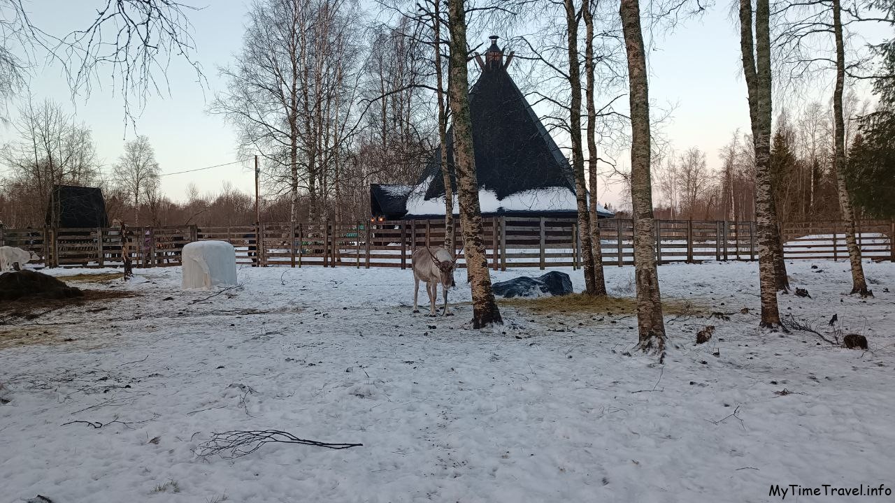 Ферма северных оленей, Финляндия, регион Руана