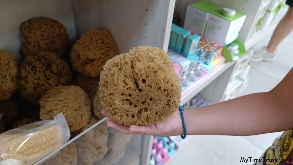 Морская губка на Крите