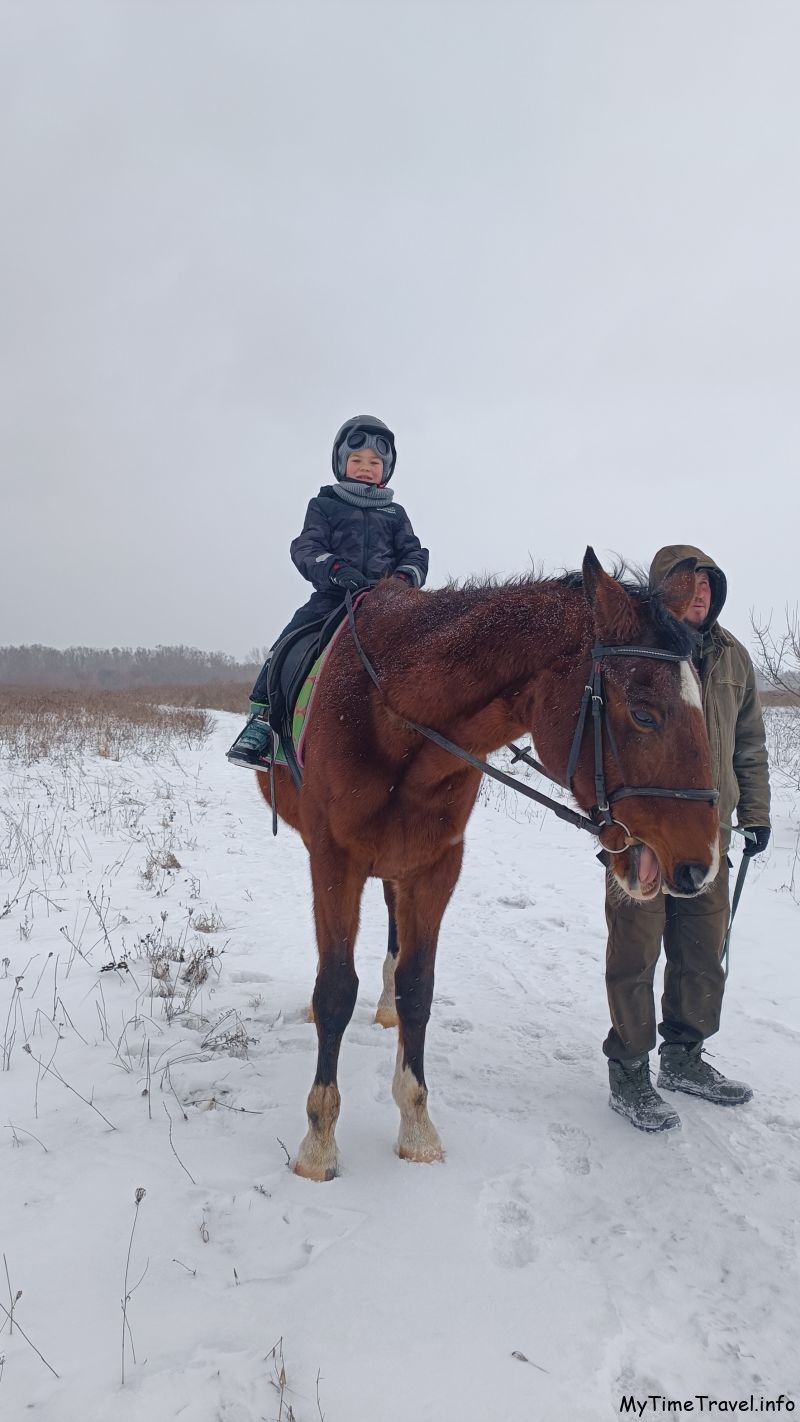 Конные прогулки в Черниговской области