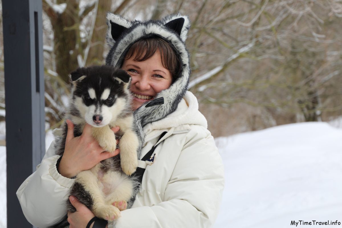 Дом хаски в Черниговской области