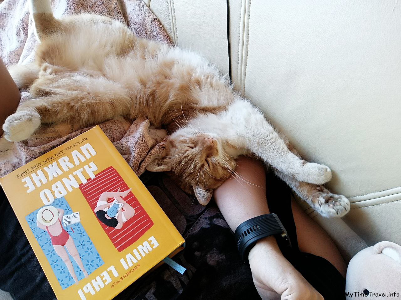 Что почитать из художественной литературы