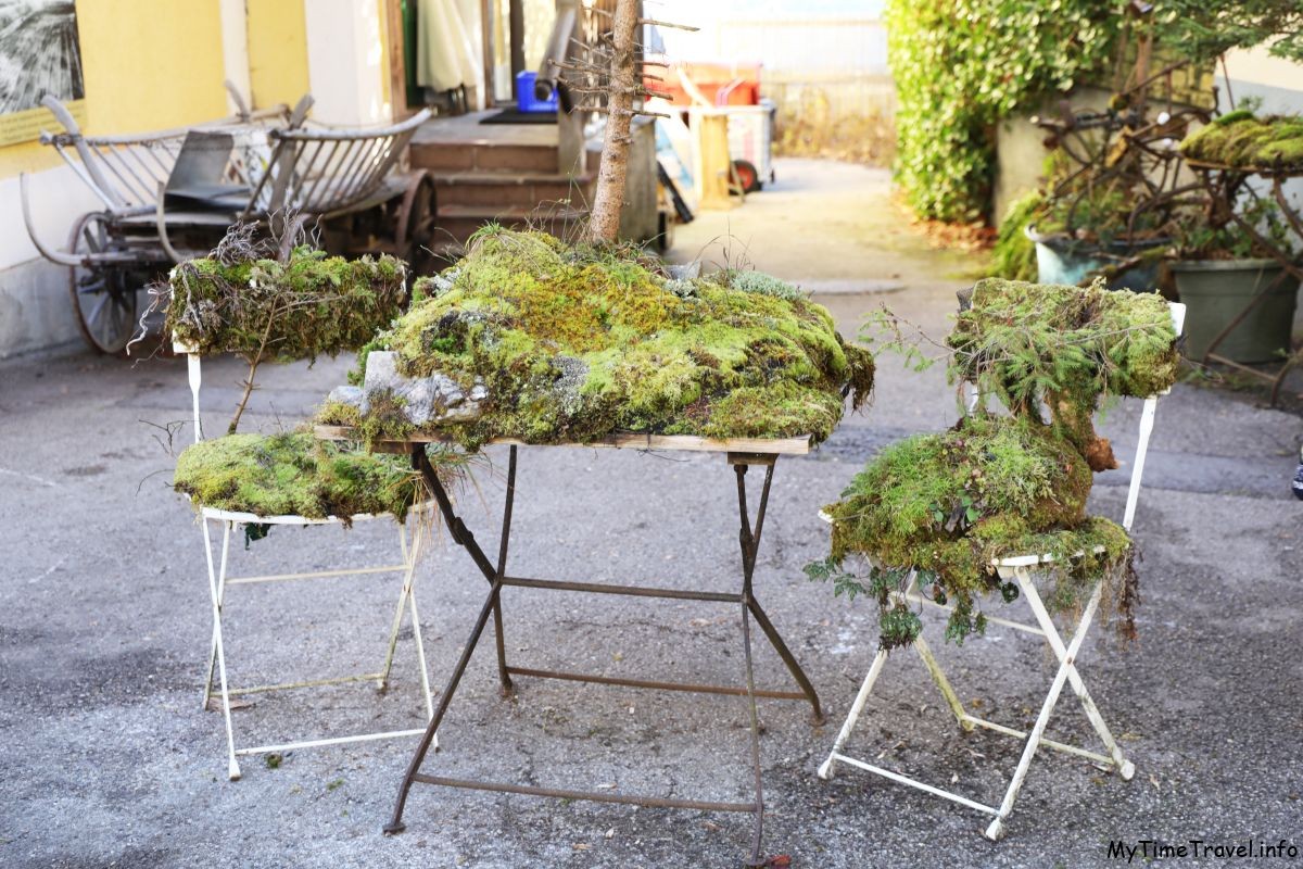 Мебель в мхе